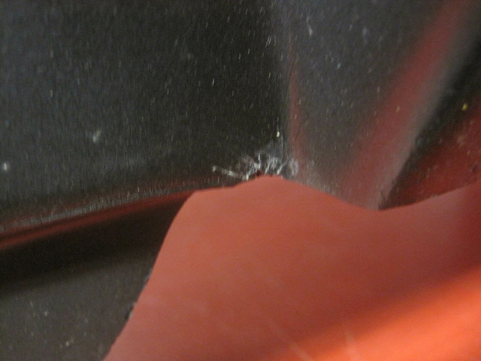 F3010_8.jpg